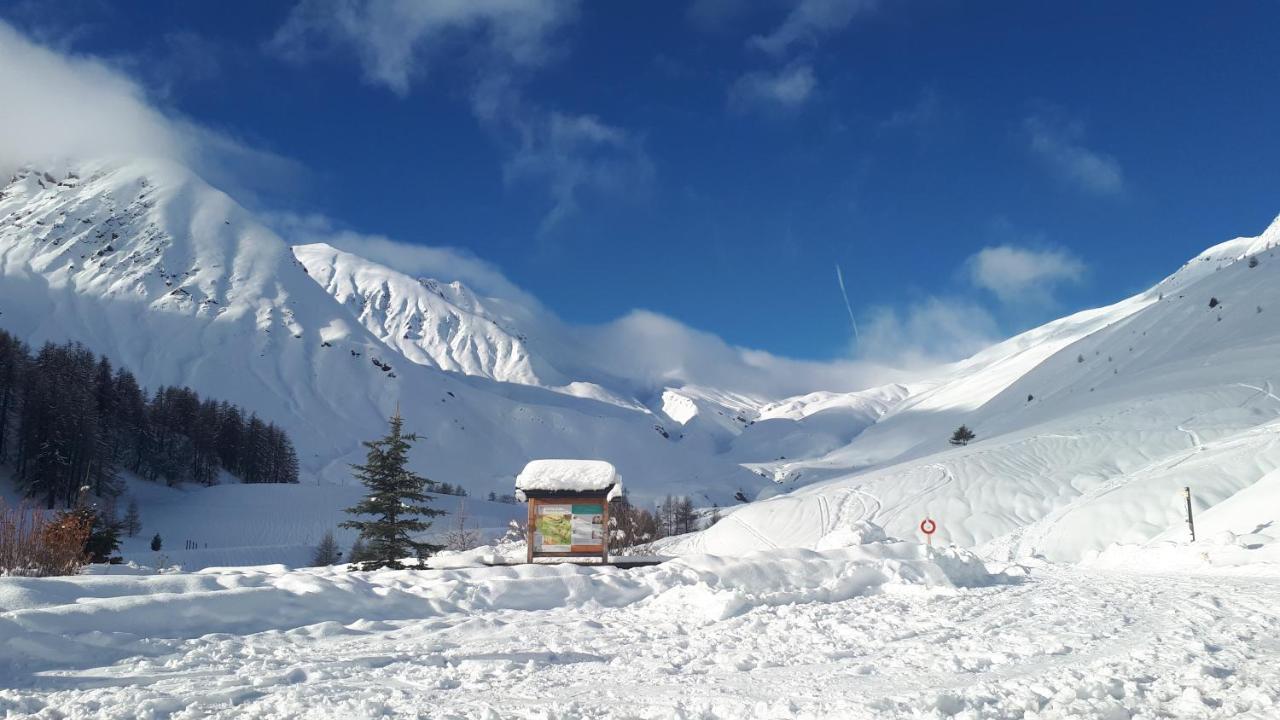 Terrasses De La Foux Coquet 80m Labrau 4 Couchages *